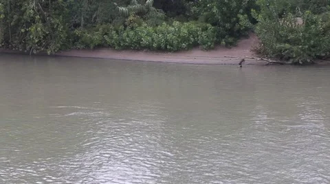 Ripple and river beach Stock Footage 42240190