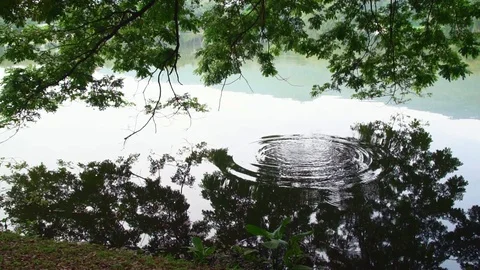 Ripple on the calm surface of a lagoon with sky reflection from thrown stone Stock Footage 83502204