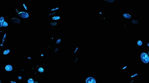 Ripple coin crypto currency loop animation Video stock 160562341