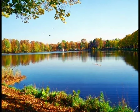 Ripple Stock Footage 5963636