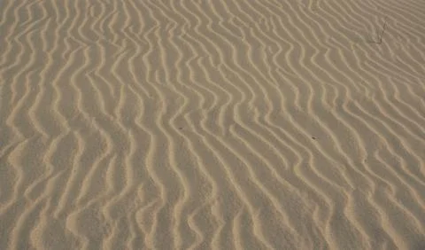 Ripple marks on a sandy beach Stock Photos