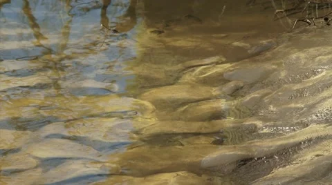 Ripple marks in sandy riverbed, River Dinkel Stock Footage 43291531
