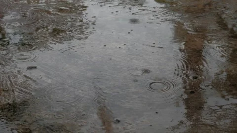 The ripple pattern of drizzle water falling on puddles. Vidéo 277452332