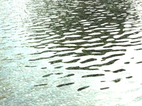 Ripple Pond With Pebble Bedstones 動画素材 80595242