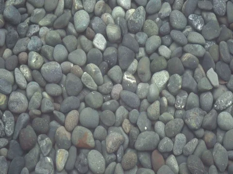 Ripple Pond With Pebble Bedstones 動画素材 80595243