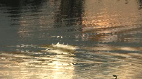 A ripple on the refelction surface of the lake Stock Footage 11884418