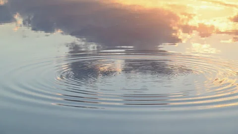 Ripple rings from stone impact lit by golden sunset light on lake, slow motion Stock Footage 338237828