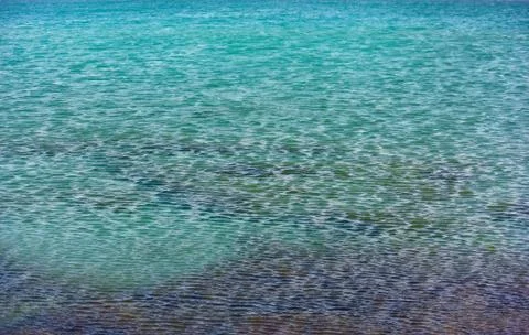 Ripple sea surface background with algae. Abstract calm blue ocean backdrop 스톡 사진