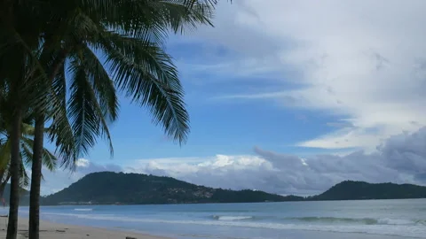 Ripple sea wave hit sand beach with coconut leaves  branch tree, cloudy sky b Stock Footage 132474875