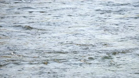 Ripple on the surface of a river stream, 2x slow motion Video stock 168326366