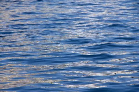 Ripple on the surface of the water Stock Photos