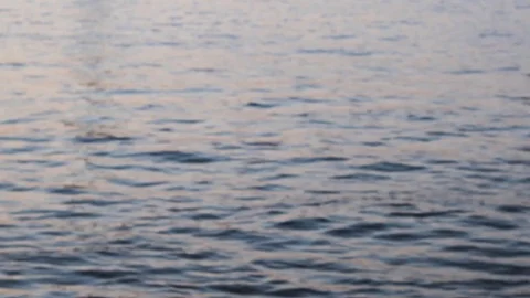 Ripple water background surface texture Stock Footage 107041505