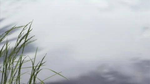 Ripple on the water Stock Footage 457516