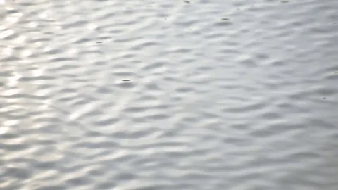 Ripple on the water Stock Footage 73756205