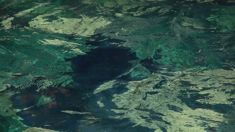 Ripple on the water Video stock 76940023