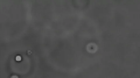 Ripple water surface on opaque/transparent layer 库存影片 627404