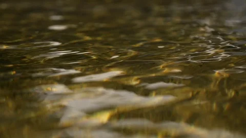 Ripple Water Surface in Pond Stock Footage 71586698