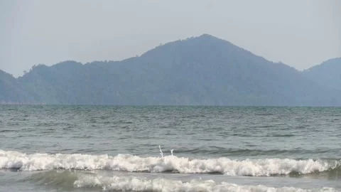 Ripple waves of blue ocean with mountain Vidéo 185594438
