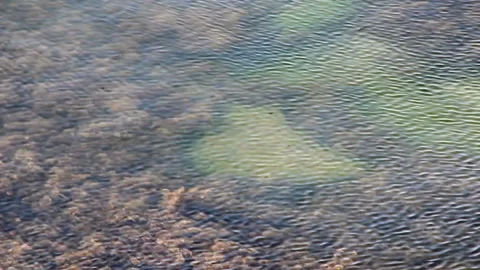 Ripple waves on sea surface Stock Footage 96335508