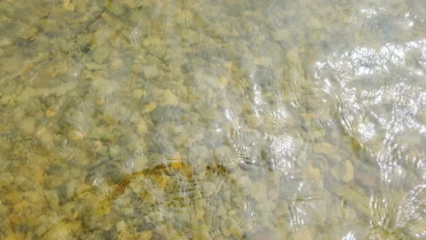 Ripple waves on a transparent river water. Stock Footage 159208323