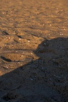 Rippled beach sand with tiny shells in warm late afternoon light Stock Photos