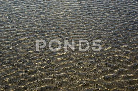 Rippled Pattern On A Water Surface, Goa, India