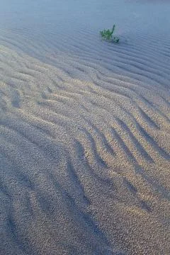 Rippled patterns in sand with dramatic lighting 스톡 사진