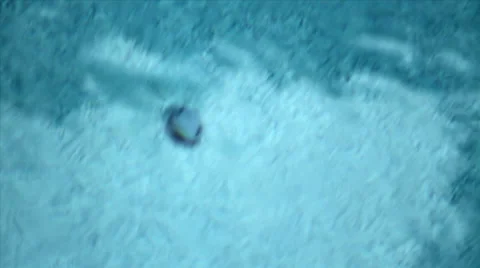 Rippled Pool Water with Floating Leaves Video stock 42008388
