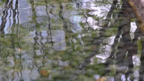 Rippled puddle after rain and reflections Stock Footage 75191313