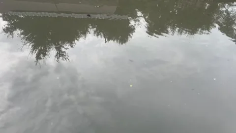 Rippled river water with dust particles and reflections Stock Footage 314098458