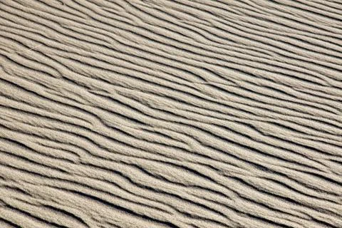 A rippled sand dune Stock Photos