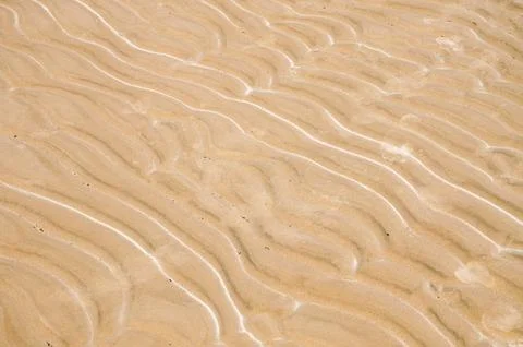 Rippled sand patterns on sunlit beach, showcasing nature's artistic design Stock Photos