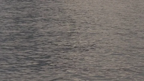 Rippled sea surface at sunset Stock Footage 73699280