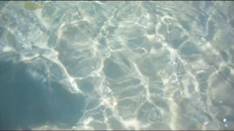 Rippled in shallow water Stock Footage 76134116