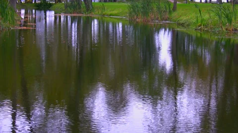 Rippled surface of pond or river Vídeos de archivo 36174863