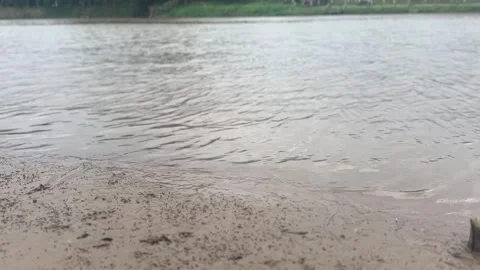 Rippled surface of river water with gentle wave motion and light reflection Stock Footage 314098457