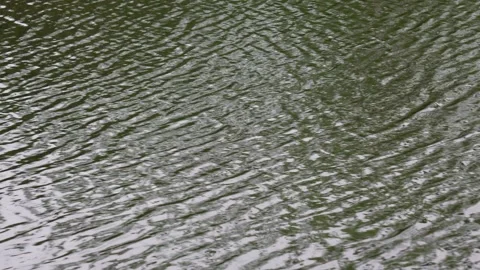 The rippled surface of water with daylight reflecting off it Stock Footage 316235083