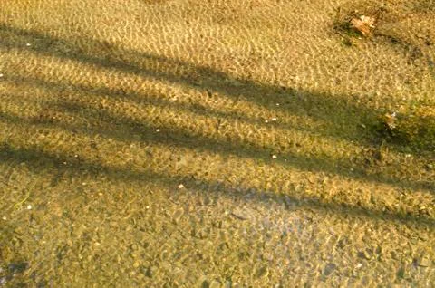 Rippled water background pattern Foto stock
