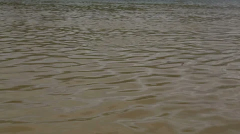 Rippled water close up Video stock 22935251