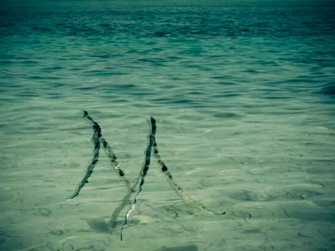 Rippled water Stock Photos