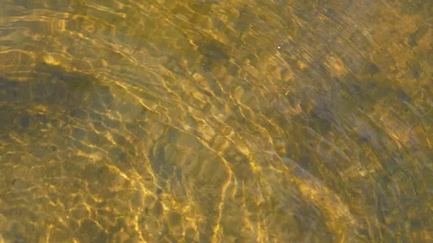 Rippled Water Surface with Algae Video stock 293185752
