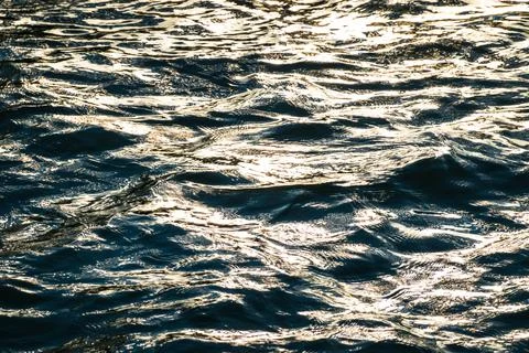 Rippled water surface background 写真素材
