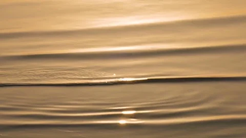 Rippled water surface in ocean at sunset Stock Footage 77730688
