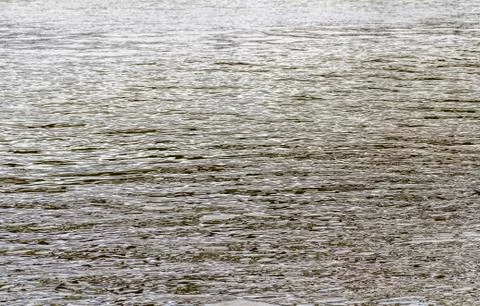 Rippled water surface 写真素材