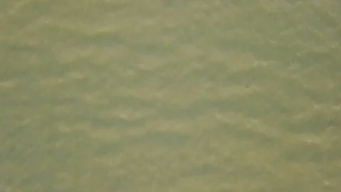 Rippled water surface of sea on sunset. Stock Footage 125290116