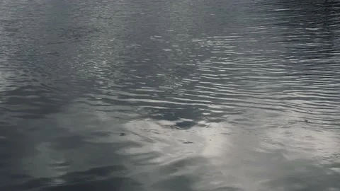 Rippled water texture with blurry reflection cloudy sky.  Stock Footage 170665825
