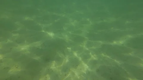 Rippled wave pattern Stock Footage 255715224