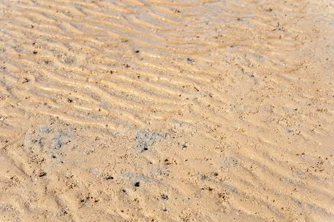 Rippled wavy beach sand texture bg with small crab burrows and holes Stock Photos
