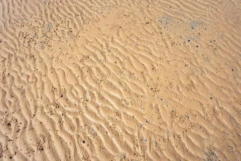 Rippled wavy beach sand texture bg with small crab burrows and holes Stock Photos