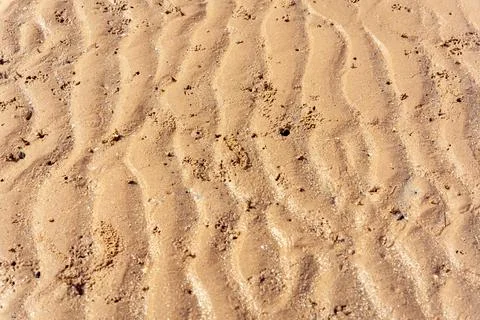 Rippled wavy beach sand texture bg with small crab burrows and holes Stock Photos